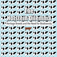 Feature Film - Holstein Dilemma - Dvd - G3Z