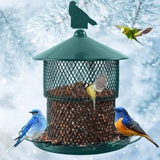 Wild Bird Feeder Squirrel Proof Metal Bird Seed for Outside Hanging 3.8lb Large