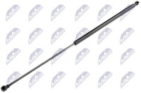 NTY AE-CT-009 Gasfeder, Kofferraum-/Laderaum FüR CitroËN