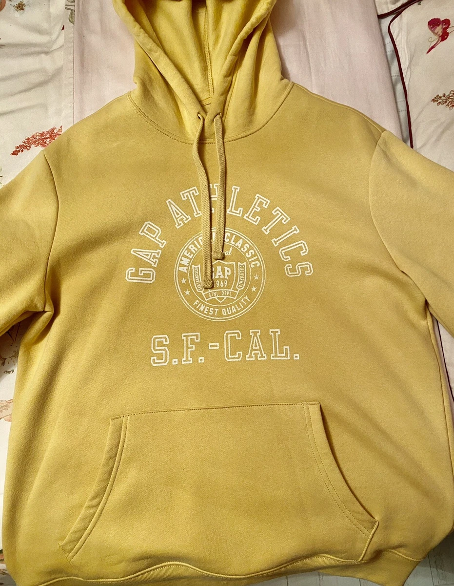 Sweat à capuche intérieur molletonné homme gris