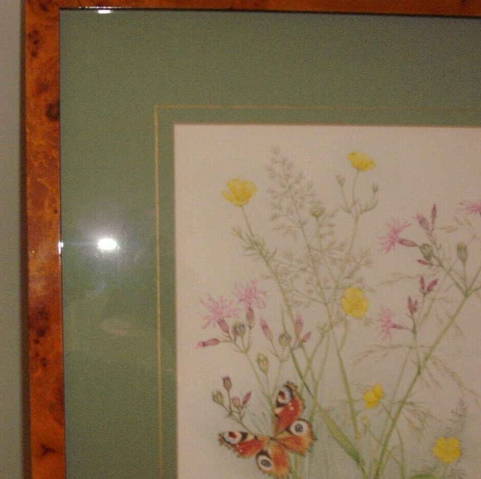 Picture 5 of 6