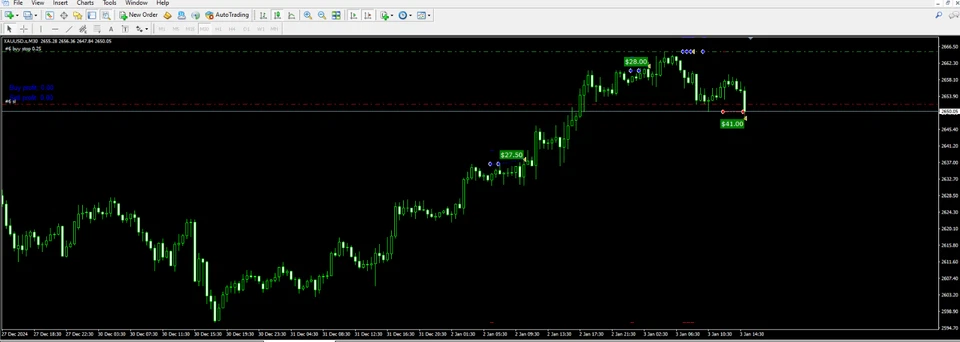MT4 Gold Scalping Prop Firm Expert Advisor with set Files WR 100% since Jan 25 - Image 3 of 3