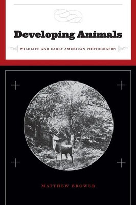 Developing Animals Wildlife and Early American Photography Matthew Brower Buch