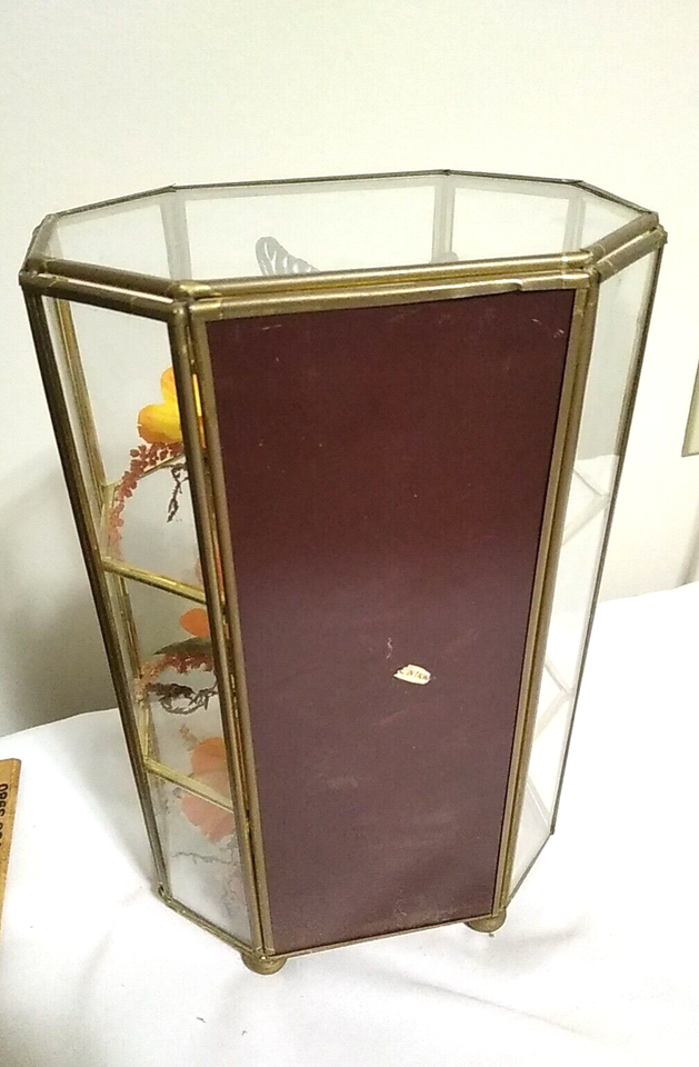 VTG RARE Real Butterfly Flowers Display Taxidermy Glass Casket Window ...