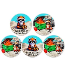 Playful Raccoon Dumpster Fire Coin -Everything is Fine-Unique Humor & Resilience