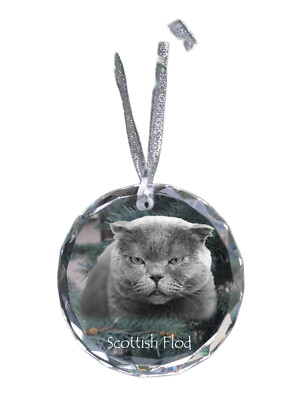 Scottish Fold - crystal bauble with a photo, photo of a cat in crystal, personal