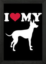 English Toy Terrier Framed Wall Art Poster Canvas Print Picture