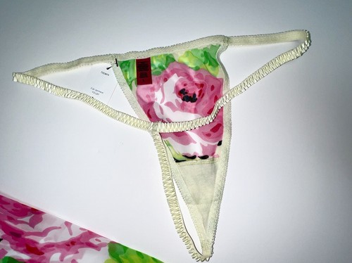 NWT Betsey Johnson VINTAGE Babydoll Slip Dress W Thong Roses Chiffon FAIRY L - Picture 13 of 16