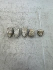 Civil War 5 Minie Balls dug up bullets