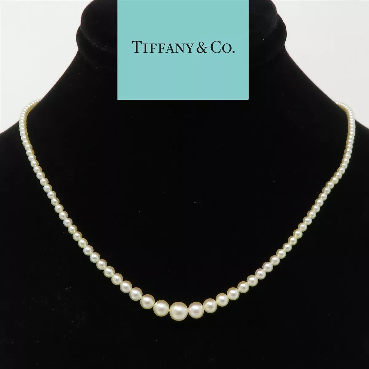 Tiffany & hotsell co pearl choker
