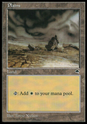 Plains (Rocks) Tempest Light Play MTG Magic DNA GAMES