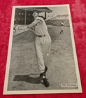 RARE 1956 PHOTO PACK TED WILLIAMS PHOTO VERY SHARP AND CLEAN READ DESCRIPTION