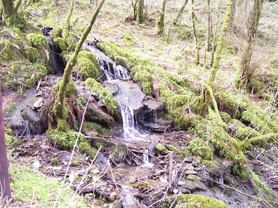 Foto 12x8 kleiner Wasserfall hinunter zum Afon Cych Cwmcych c2016