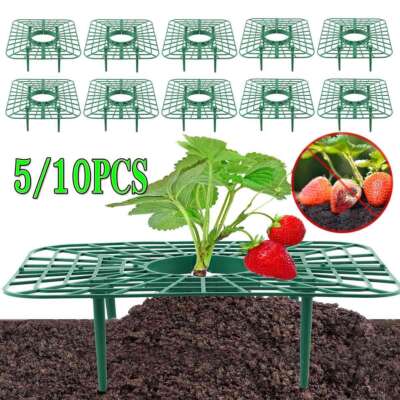 5/10X Adjustable Strawberry Supports Plant Stand Strawberry Fruit Growing Holder