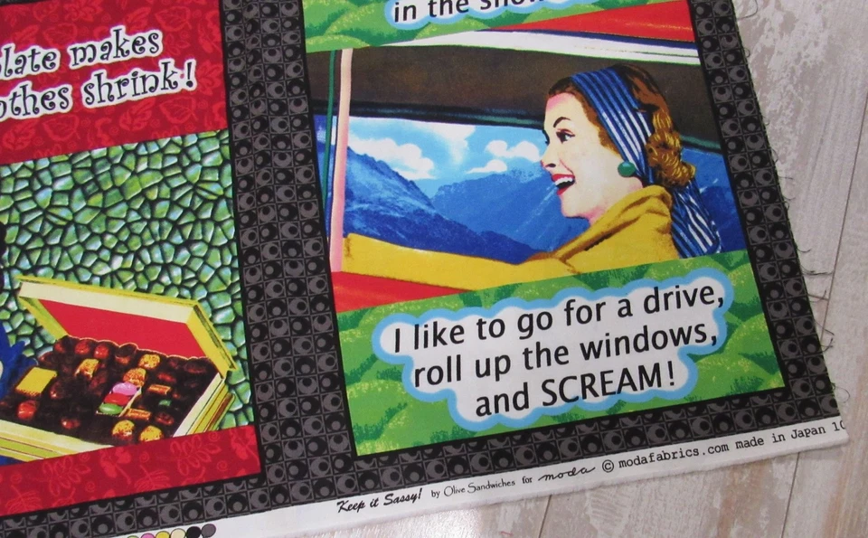 Moda KEEP IT SASSY Olive Sandwiches 6 Block Panel 1400 Retro Vintage Quilt Panel - Image 4 of 4