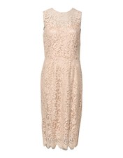 Dolce & Gabbana Beige Floral Lace Sleeveless Sheath Women's Dress Authentic