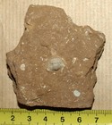Bild 1 von 9