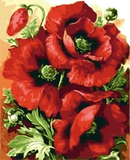 Diamond Art 12x16 inch Red Poppies on Acrylic Canvas (without frame)