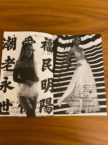 King Kral zine Vol 1, No 12 (Fashion) Streetwear Luxury Type Pattern Catalog DIY - Picture 3 of 7