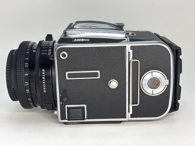 HASSELBLAD 2003 FCW,  80 mm f/2.8 Zeiss Planar, A12, Acute Matte, Winder