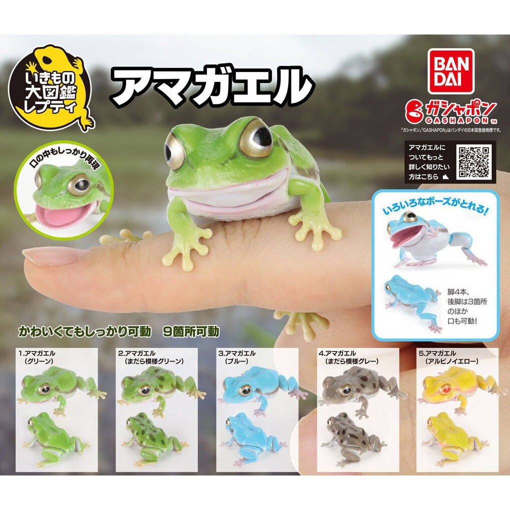 Bandai Japan Living Creatures Encyclopedia Repti Tree Frog