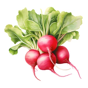 Radish Vegetable Self Adhesive Waterproof Sticker