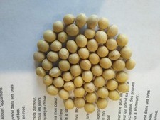 Organic Soybeans, Dried, Non-GMO, Gluten-Free, 2 kg Bulk Package, Canadian Grown