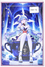 Robin A5 Acrylic Board Honkai Star Rail Waifu Collectible