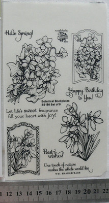Botanical Bookplates Vol 1 & WORDS 9 Clear Photopolymer STAMPS Flourishes SBox2H