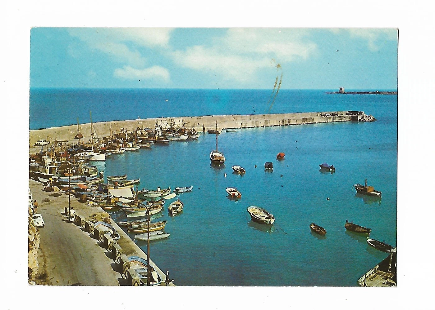 Foto 1 di 1