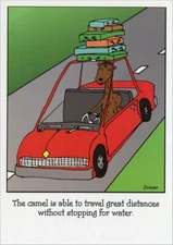 Camel Road Trip - Funny Just For Fun Card by Curiosities Greeting Cards