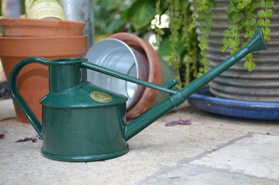 Handy Plastic Watering Can, Mini Water Can for Indoor Plants, Succulents and ... - image 4 of 4