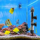 Foto 7 di 7