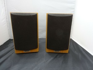tannoy mxr