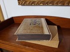Foto 7 di 24