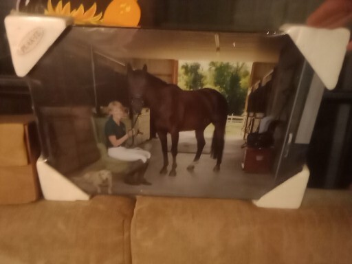 Photo Of Horse Woman Rider Posing Stallion in the Stable With Rider Stables