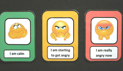 EMOTIONS AMPELN CUE KARTEN - Autismus ADHS Visuelle Kommunikation SEN PECS