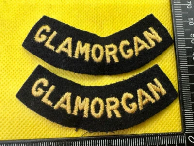 Glamorgan Insignes De Titres D’Épaule Défense Civile Britannique WW2 - Photo 1/4