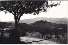 GROPPALLO - FARINI - PIACENZA - PANORAMA - VIAGG. 1964 -35328-