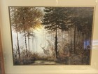 Bild 15 von 15