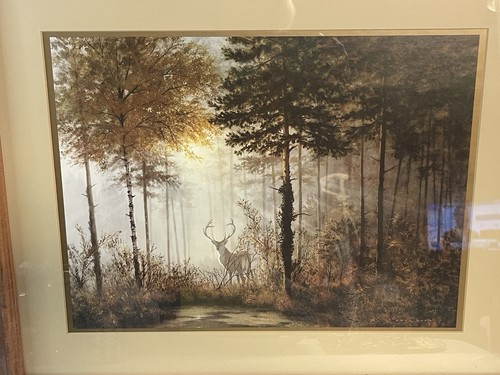 G. Coulson "Quiet Forest" Signed Framed Art Deer Outdoors Print Framed Matted - Picture 15 of 15