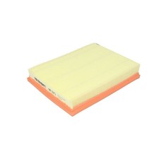Filtro Aria Filtron AP071