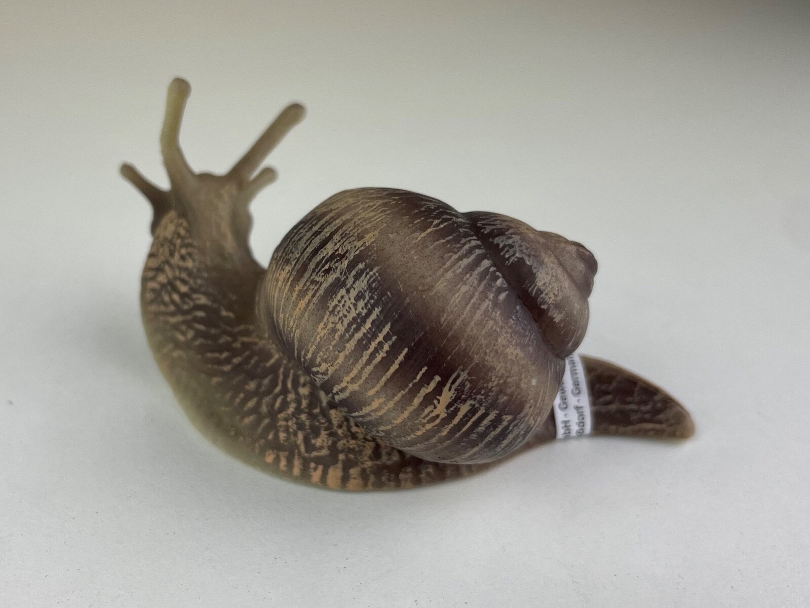 Bullyland Edible Garden Snail - Plastic Vineyard Snail Toy Figure