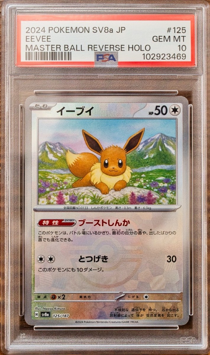 テラスタル　マスターボール　オールPSA10 ニンフィア マスターボールミラー PSA10 テラスタルフェスex