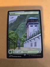 Forest   Forest- Basic Land - Jurassic World Collection Borderless Regular MTG 