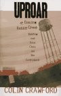 Uproar At Dancing Rabbit Creek: The Battle Over Race, Class, And The Environ...