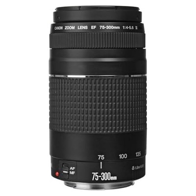 Canon EF 75-300mm f/4-5.6 III Telephoto Zoom Lens for Canon SLR