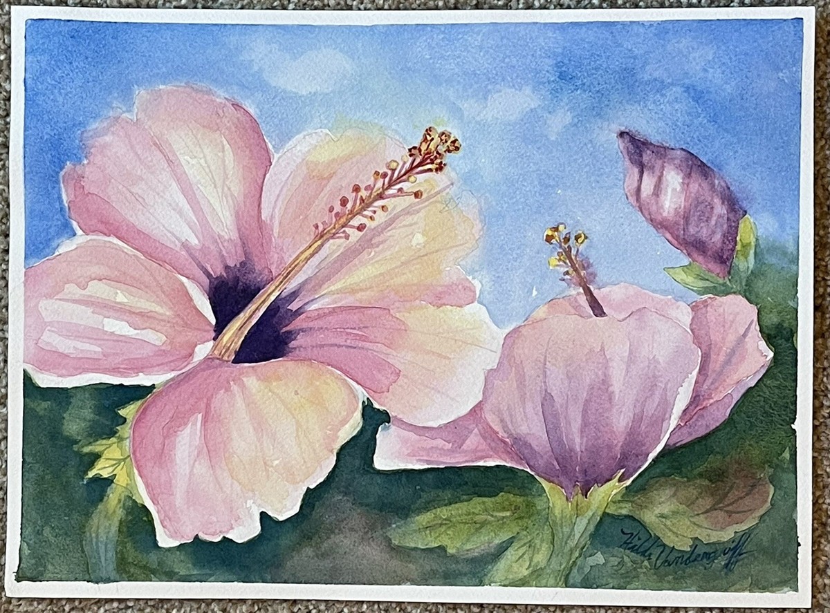 Pink Hibiscus Flowers Original Watercolor Painting | eBay