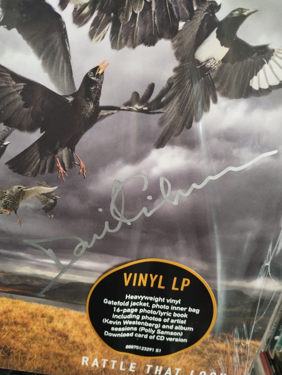 David Gilmour Rattle That Lock レコード LP LP DAVID GILMOUR Rattle That Lock (180g VINYL, 2015 PINK