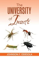 Johnson Odesola | The University Of Insects | Taschenbuch | Englisch (2019)